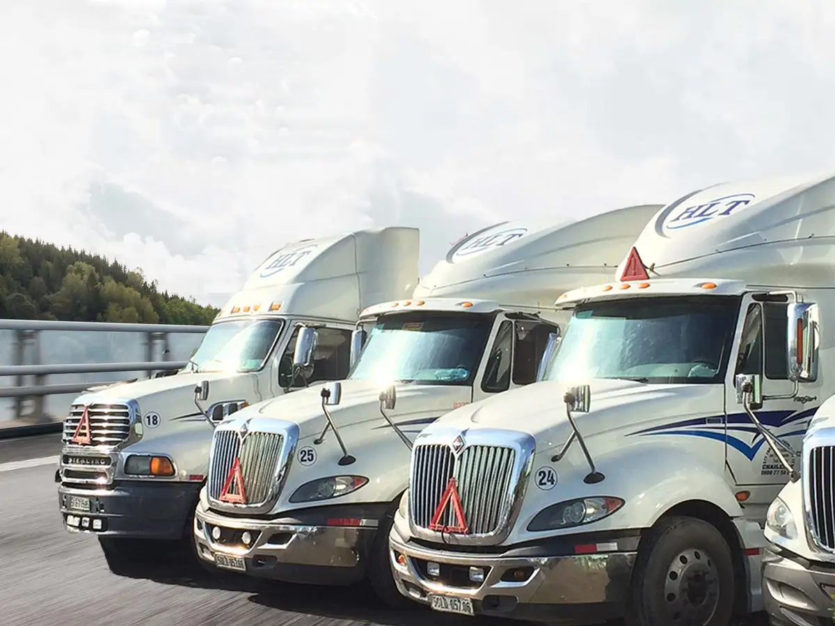 CÔNG TY TNHH LOGISTICS BẢO SKY